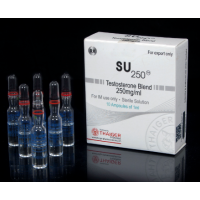 Thaiger Pharma SU250 - Sustanon 250mg 10 Ampul 